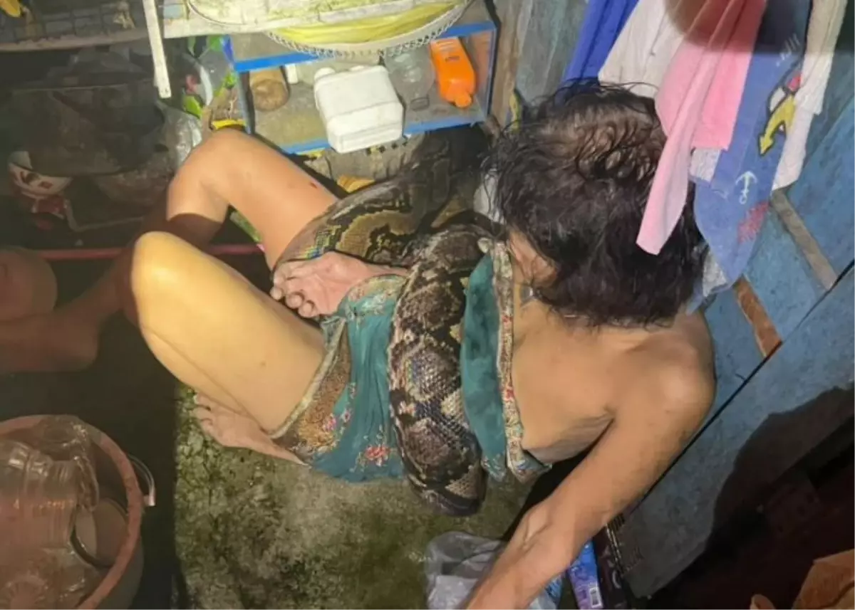 Tayland’da 64 yaşındaki kadın, mutfakta bulaşık yıkadığı sırada 4 metrelik pitonun saldırısına uğradı